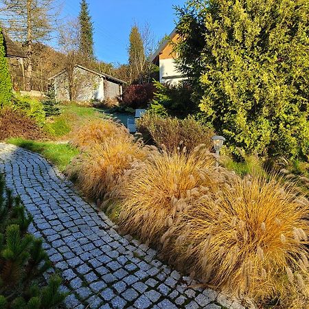 ויסלאו Beskid Ski Villa מראה חיצוני תמונה