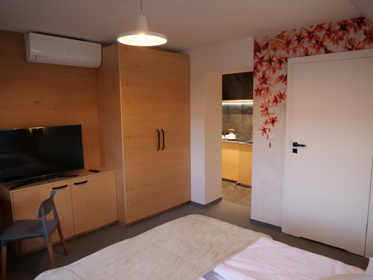 ויסלאו Beskid Ski Villa מראה חיצוני תמונה