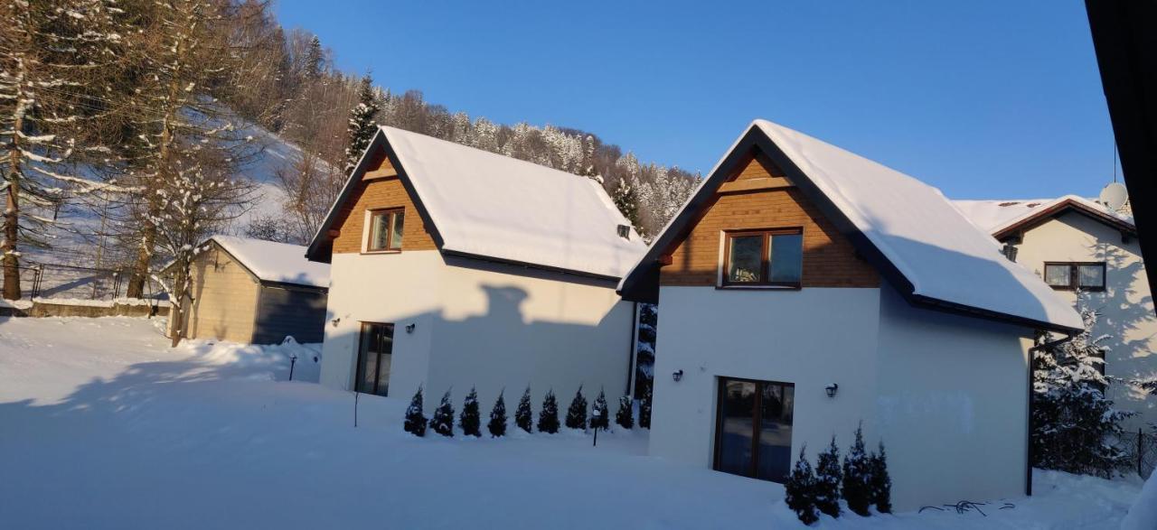 ויסלאו Beskid Ski Villa מראה חיצוני תמונה