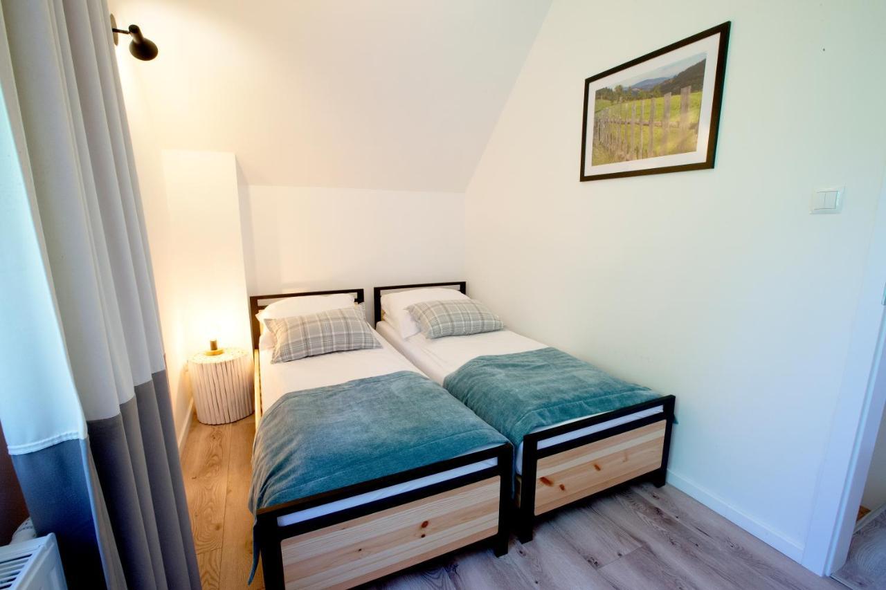 ויסלאו Beskid Ski Villa מראה חיצוני תמונה