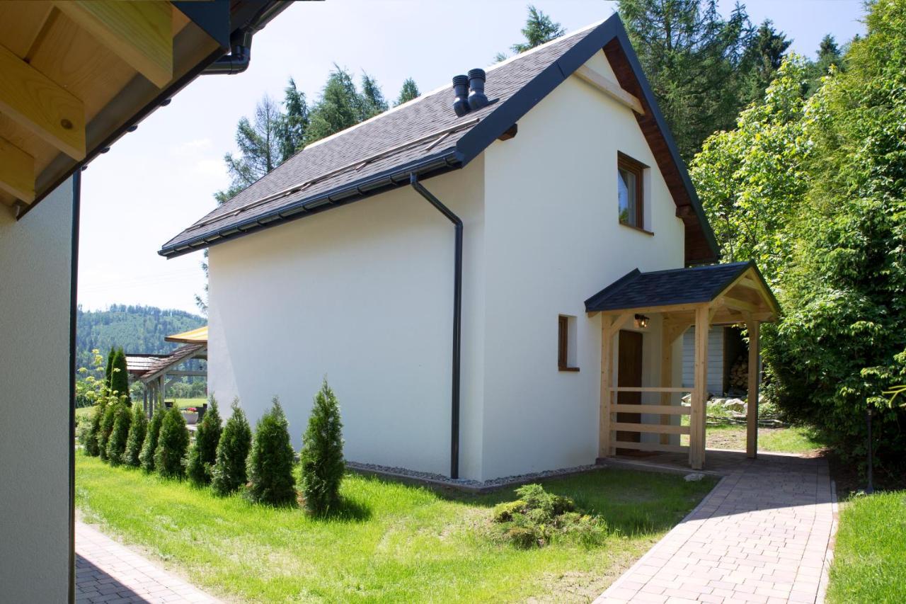 ויסלאו Beskid Ski Villa מראה חיצוני תמונה