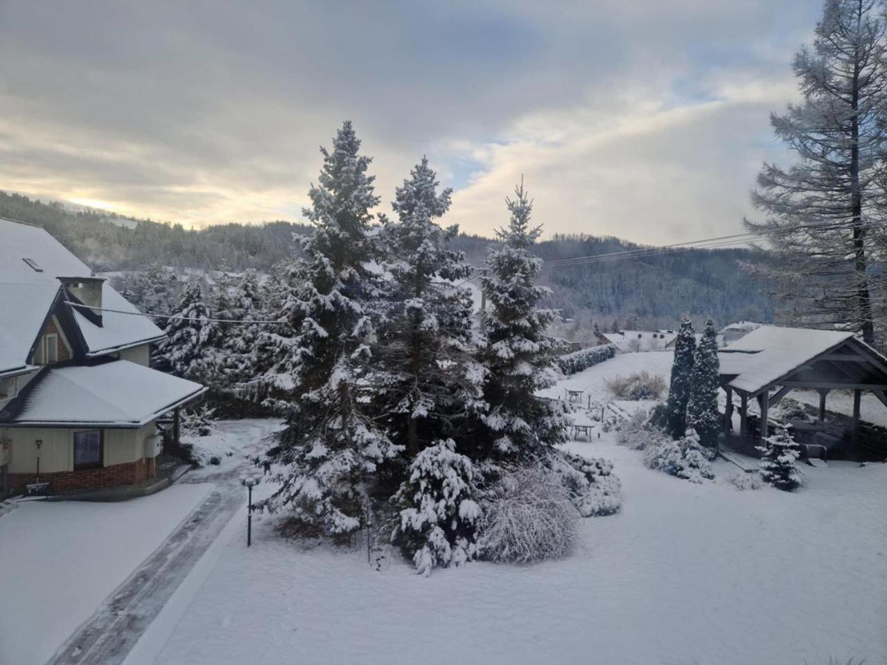 ויסלאו Beskid Ski Villa מראה חיצוני תמונה