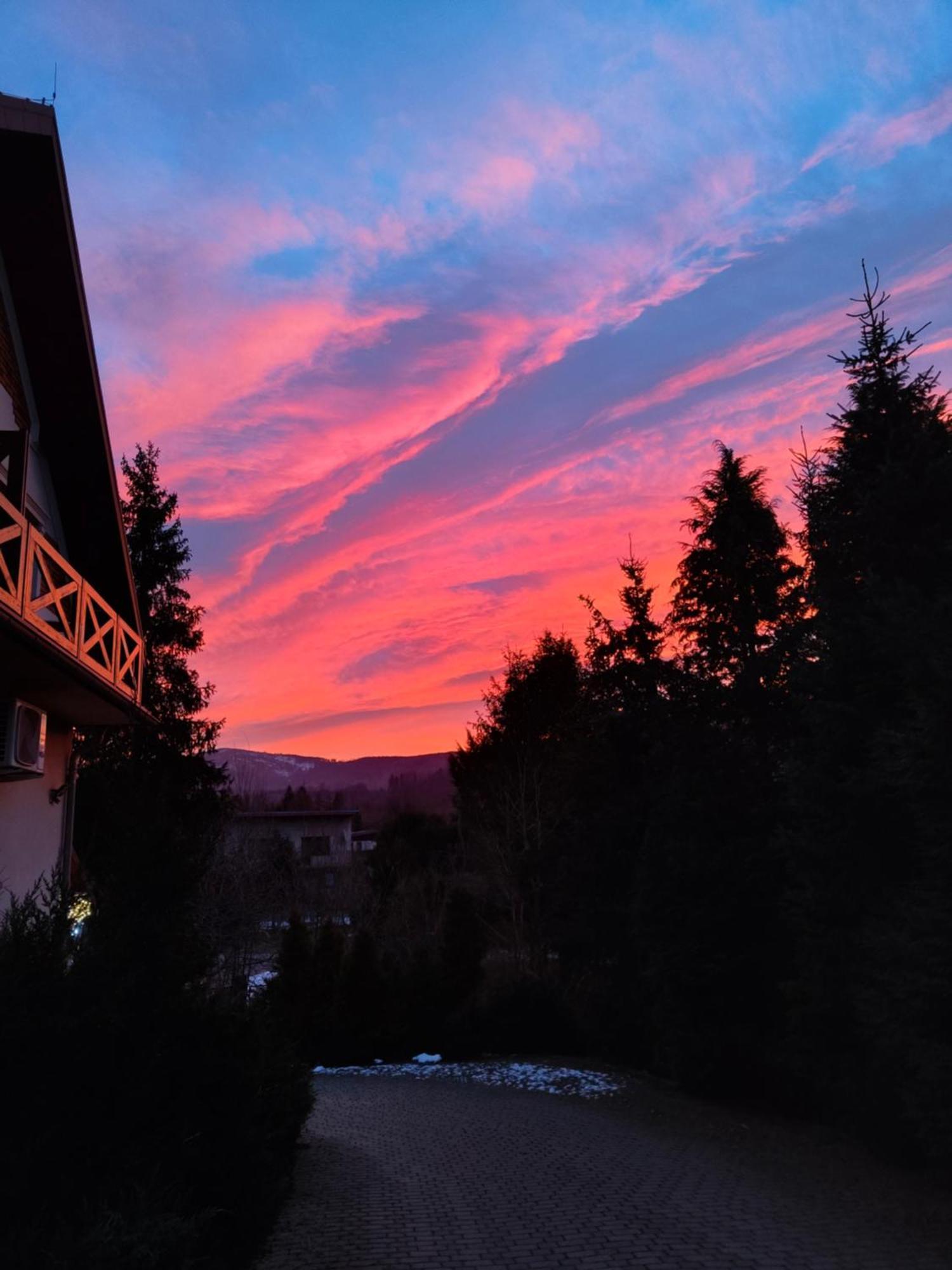 ויסלאו Beskid Ski Villa מראה חיצוני תמונה