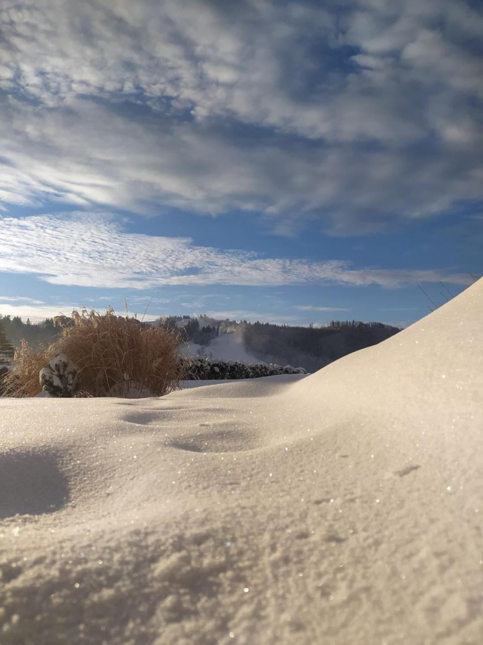 ויסלאו Beskid Ski Villa מראה חיצוני תמונה